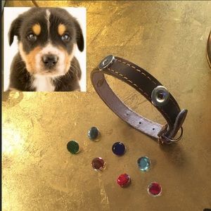 Dog Collar with reflective safety snaps
